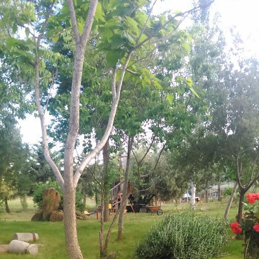 Hotel Rural La Cimbarra Aldeaquemada Esterno foto